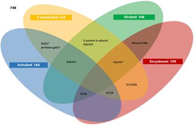 Old Circular RNAs, New Habits: Repurposing Noncoding RNAs in Parasitic Amebozoa